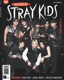 The Story of Stray Kids
