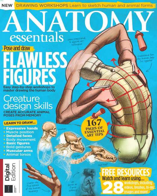Anatomy Essentials