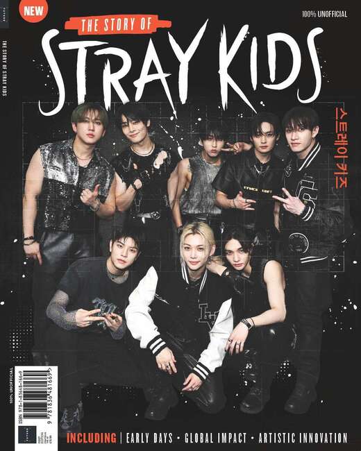 The Story of Stray Kids